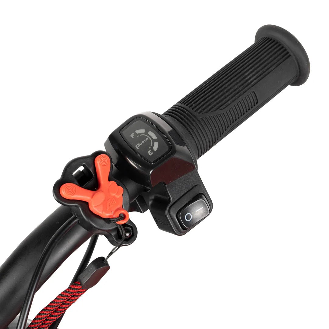 RFN Warrior Kids SX-E250 Electric Balance Bike - Image 7