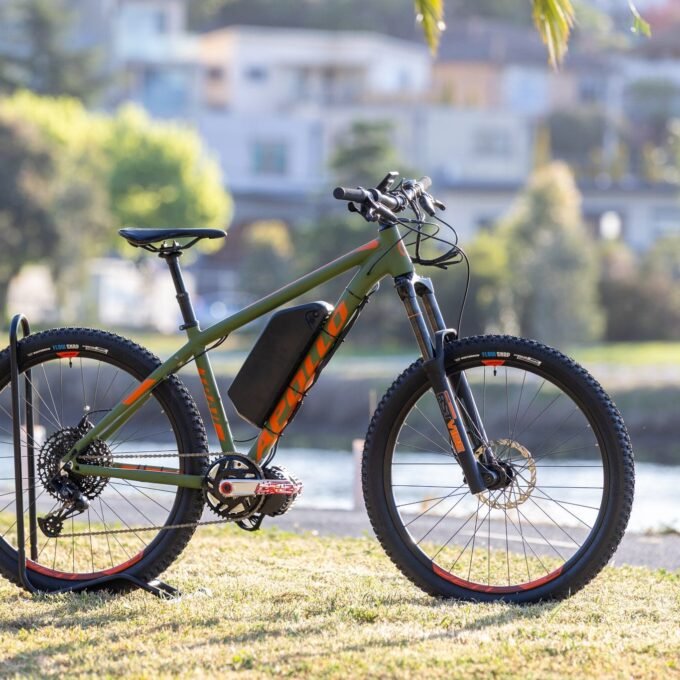 Apollo Trail 30 Custom Build with Bafang BBSHD 1000w